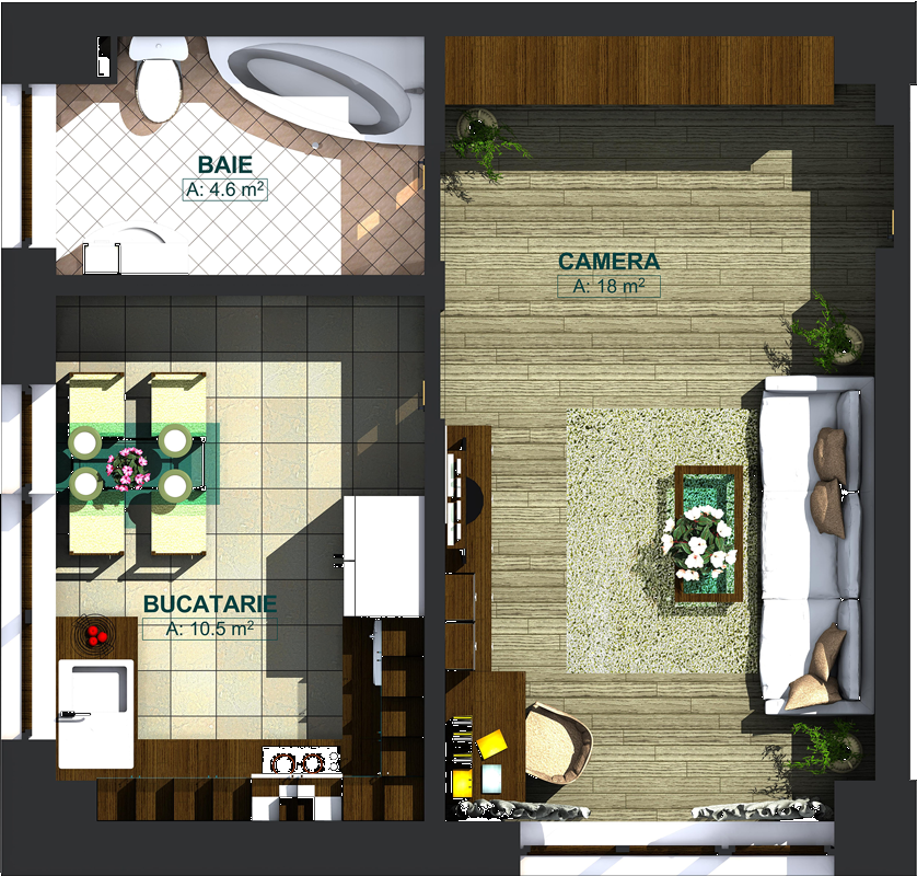 Apartamente cu o cameră tip 1A, model 3d