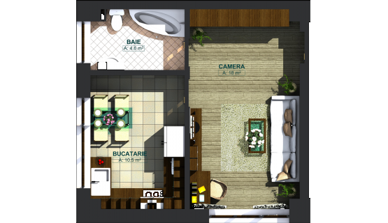 Apartamente cu o cameră tip 1A, model 3d